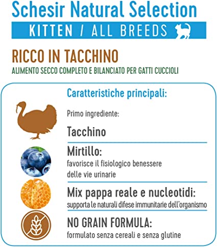 Schesir, Cibo Secco Completo e bilanciato per Gatti Cuccioli Linea Natural  Selection Ricco in Tacchino, in crocchette - Formato Sacco da 1,4 kg -  Gatto Mangione